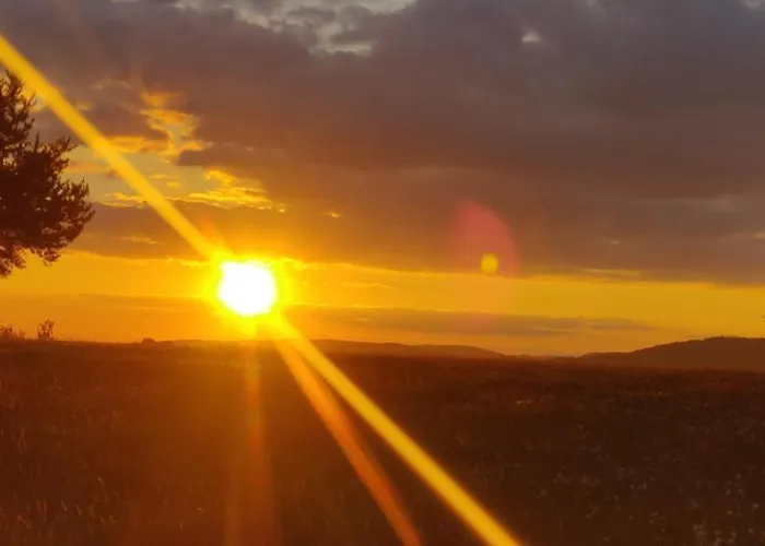 Jula - W Kudowie-zdroj Kudowa-Zdrój